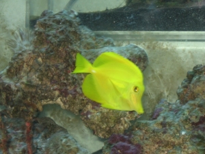 IMG 0590