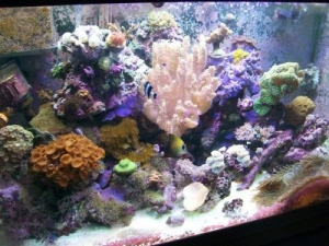 This is what I obsess over.