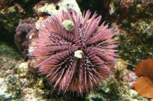 IMG 0024