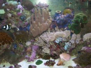 may '08