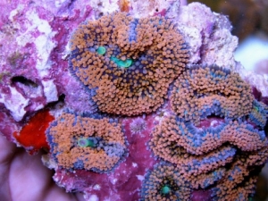 P3110521