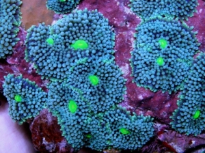 P3110535