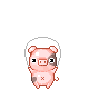 Piggy