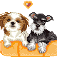 Pups
