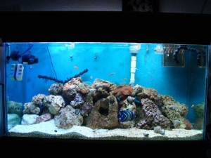 Newest Front