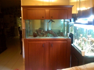 my tank