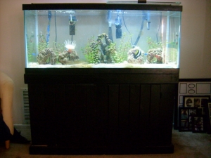 75g...BEFORE...this was like 3 months into the making.