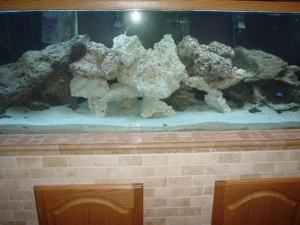 tank 003