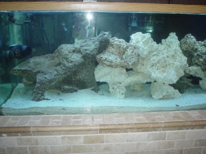 tank 001