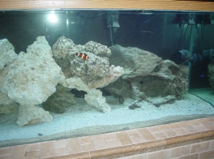 tank 002