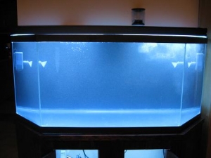 Tank