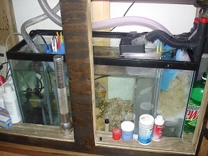 built this myself only cost 60 bucks to make.