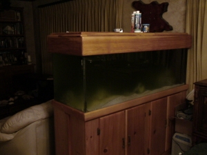 Recent picture of the tank.  Water is very green.