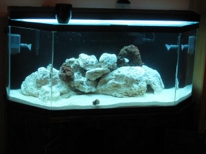 Clean tank