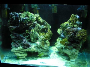 fts 12/9/08(2)