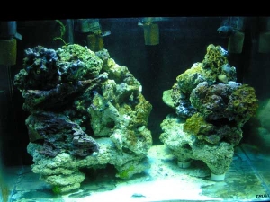 fts 12/9/08