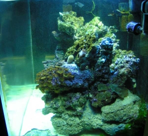 side view