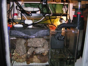 sump
