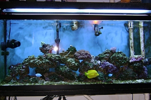 myTank2