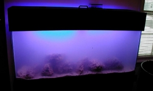 Part 1 added sand and first part of live rock