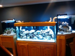 all 3 tanks