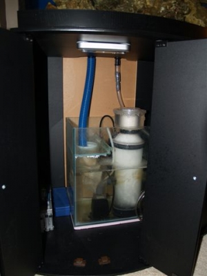 20g Sump ASM G1X Skimmer.