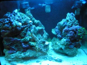 fts010209