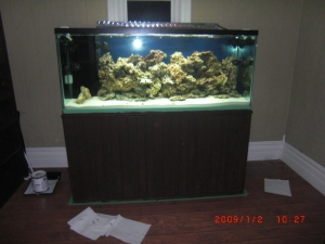 This is the finished product of my stand build