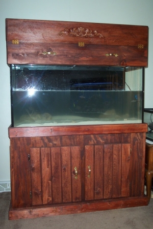 fish 052
