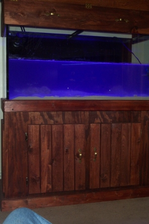 fish 048