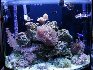 fts2