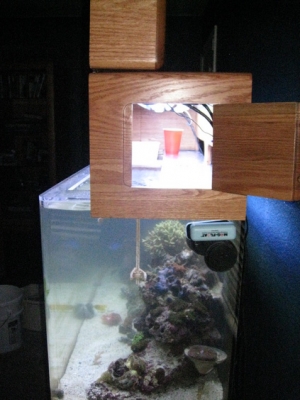 Lid 1/2 open with feeding door