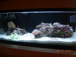 FTS