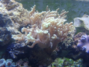 my cathederal, took about 40 frags off this so far