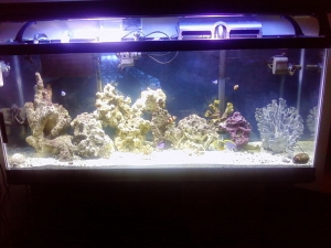 When I first started