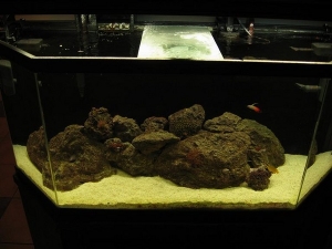 pic3