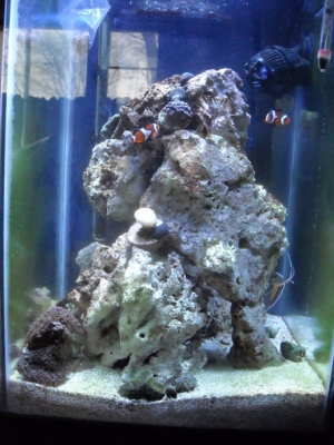 front view