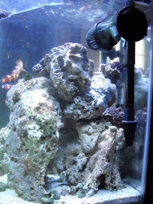 right side