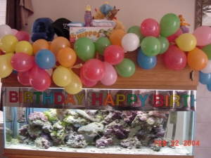 sorry about the birthday stuff.  This was before we actually took photos of the tank.
