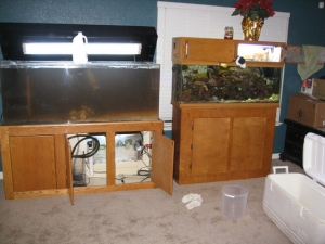 Our two tanks in the swap out