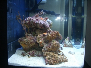 Side view