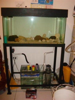 DSC02721 (Small) (2)