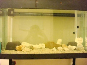 DSC02726 (Small)