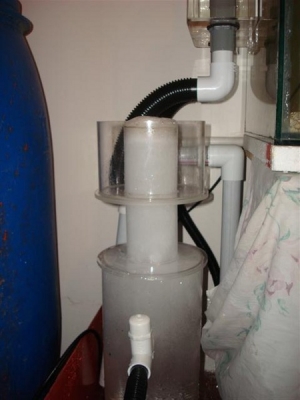 DSC02990 (Small)