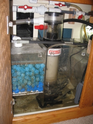 SUMP