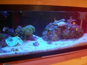 Full tank shot.