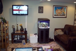 "Man Cave" 2