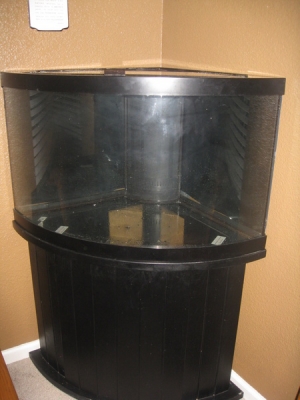 IMG 4077