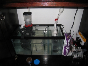 sump