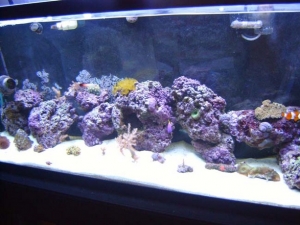 Tank 1